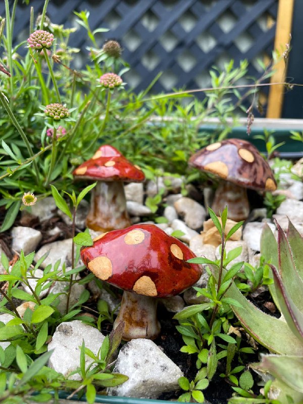 Champignons décoratifs de jardin disponibles en rouge et en bordeaux.